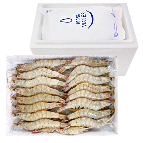 ǰ 